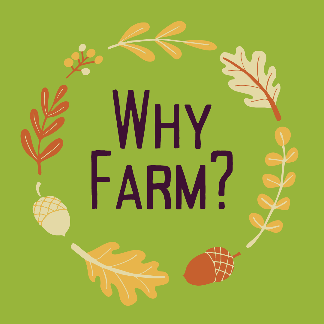 Why Farm?