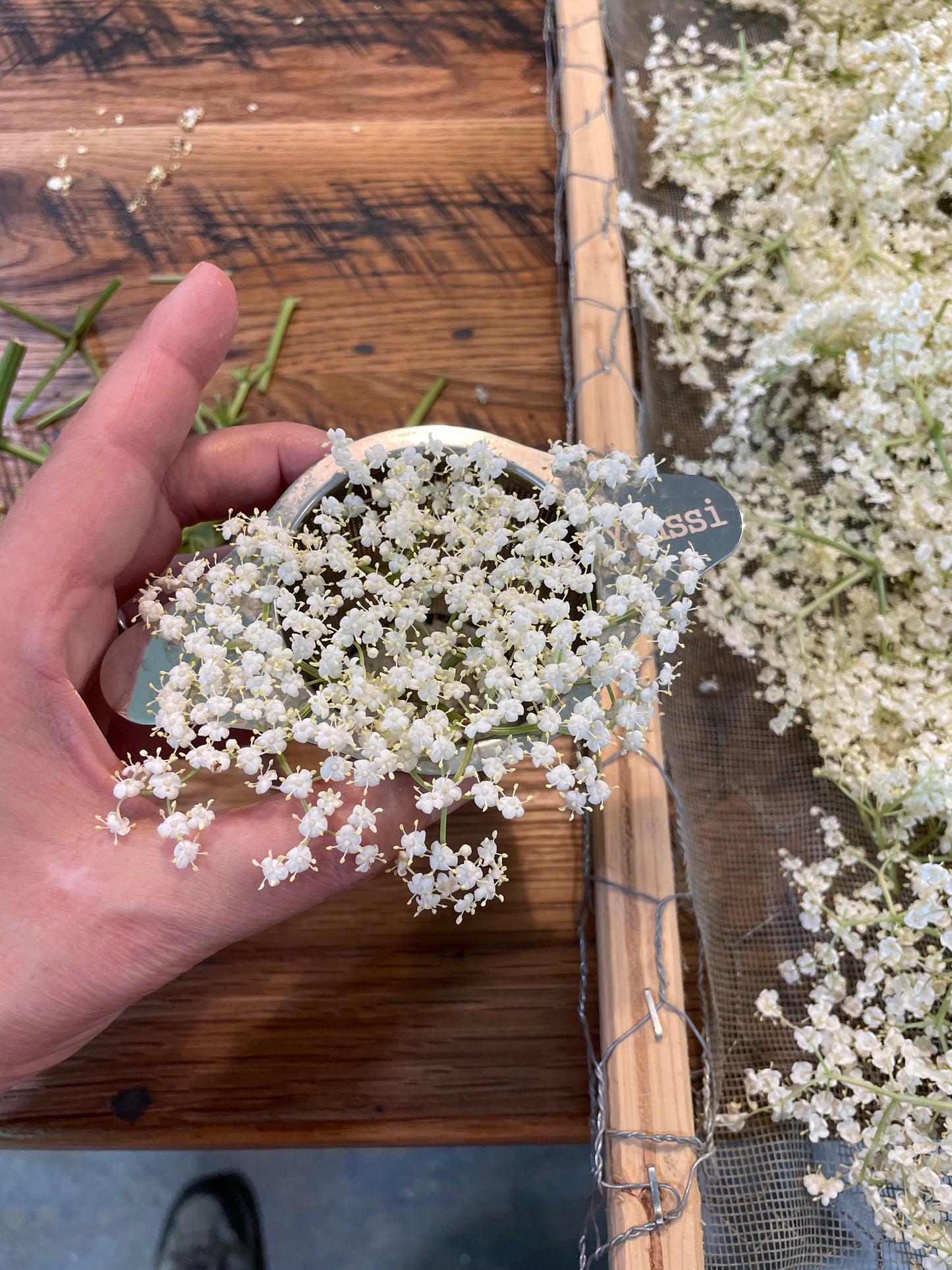 Elderflowers - Dried